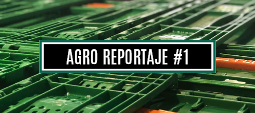 AGRO REPORTAJE #1 (WEB)