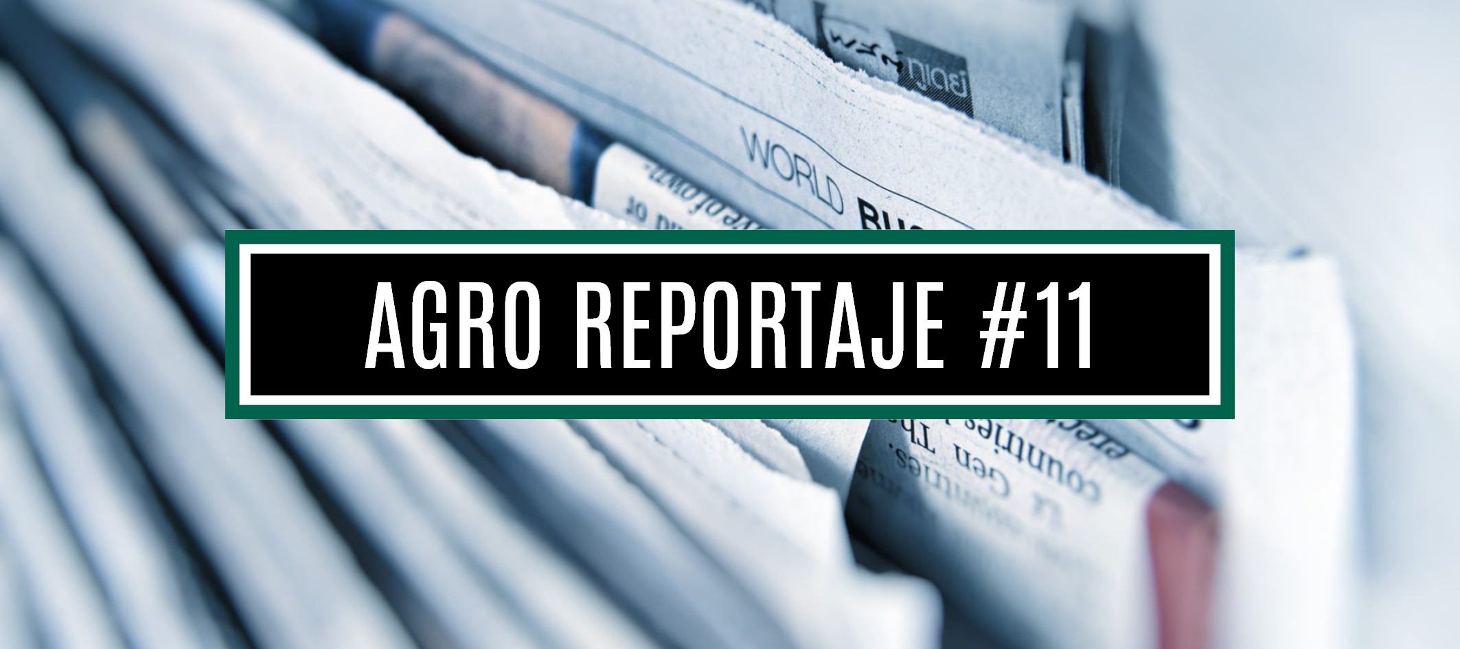 AGRO REPORTAJE #11 (WEB)