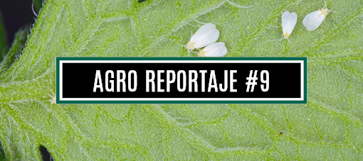 AGRO REPORTAJE #9 (WEB)