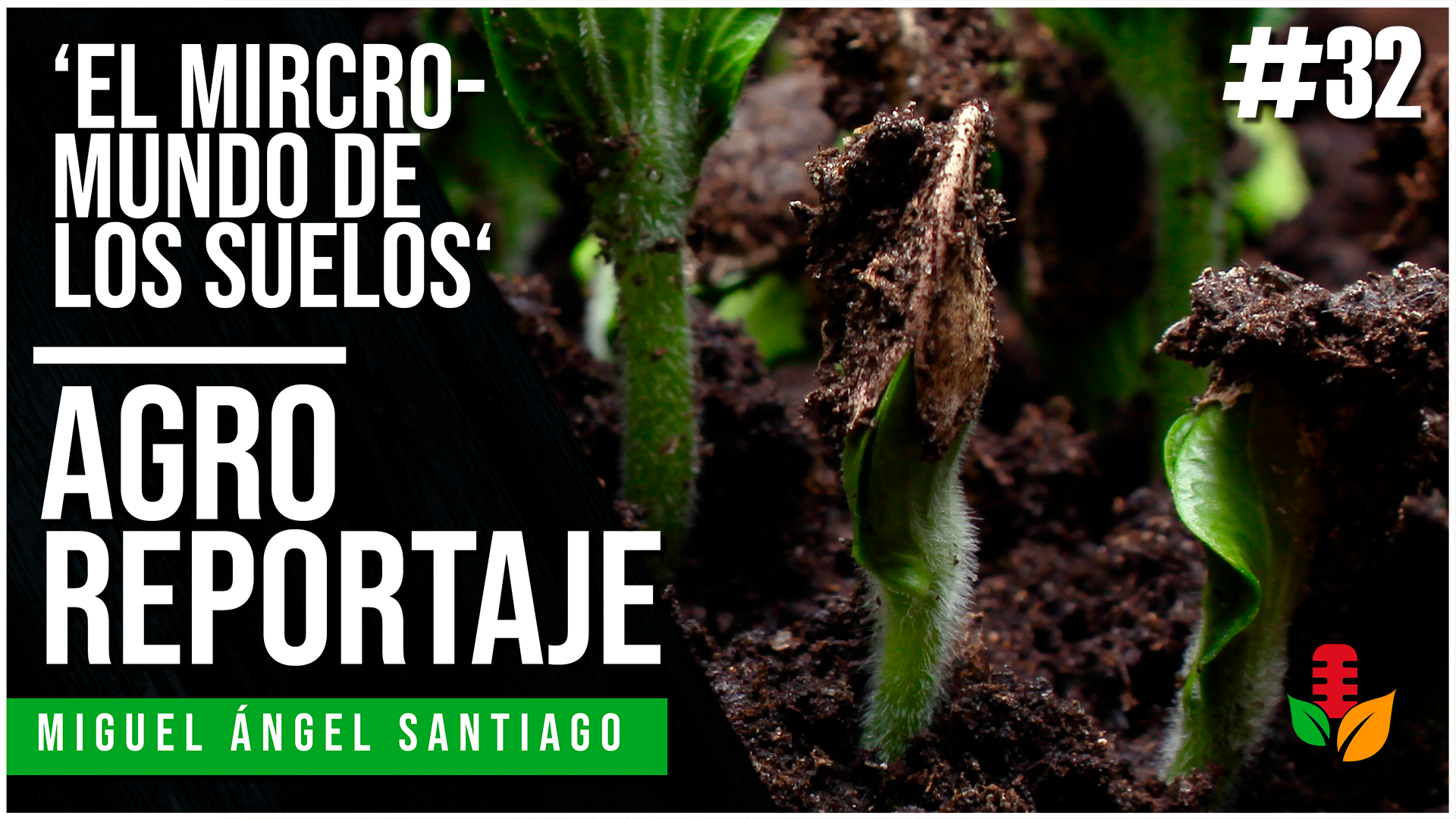 #AgroReportaje 32 || ‘El micromundo de los suelos’
