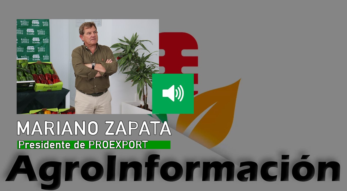 MARIANO ZAPATA PROEXPORT 1