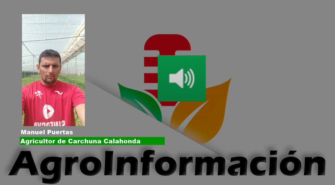 NOMIX - 2023.06.06_SANDIA CALAHONDA CARCHUNA