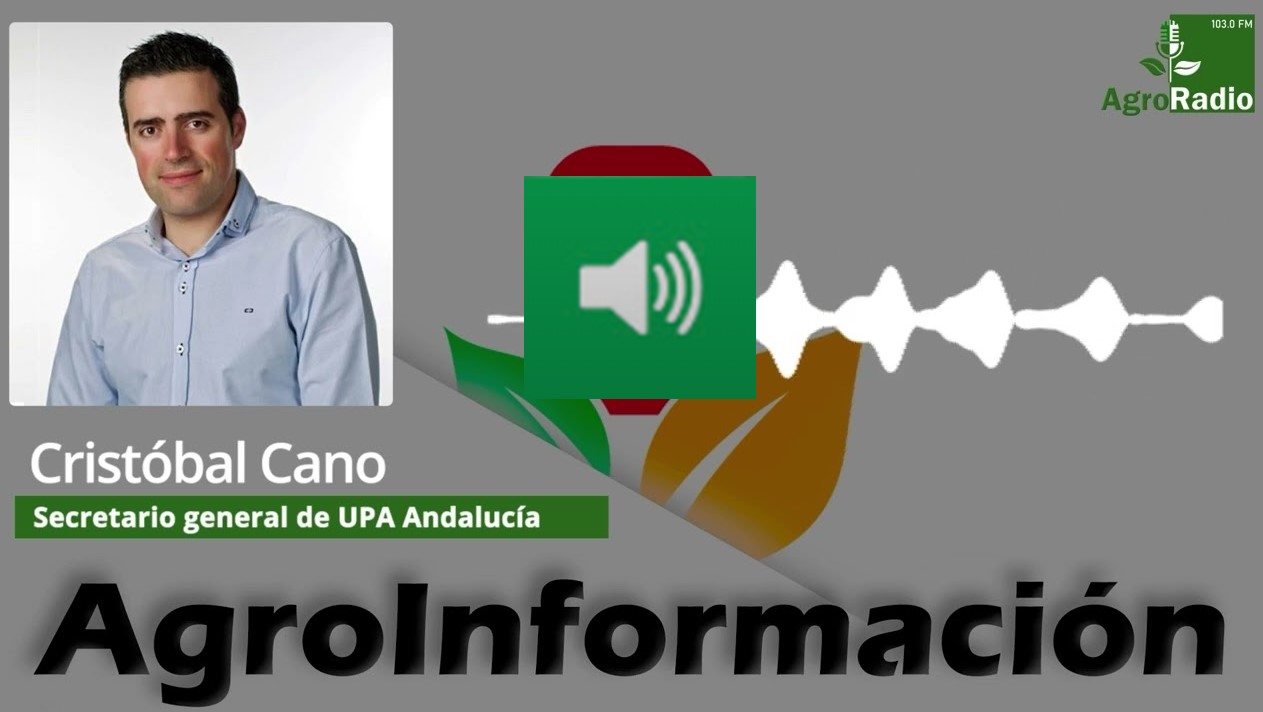 cristobal cano upa andalucia