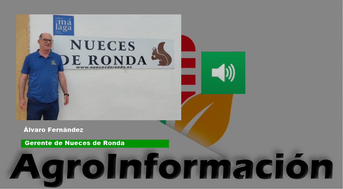 NOMIX - 2023.10.30_NUECES DE RONDA.