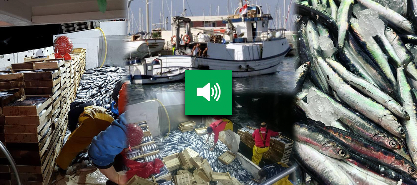 PESCADORES MINIATURA ALTAVOZ