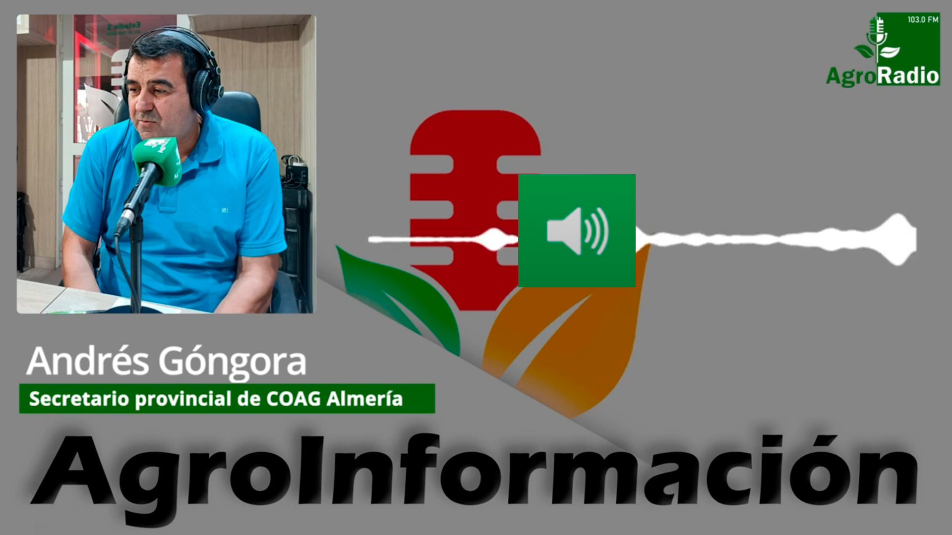 gongora logo