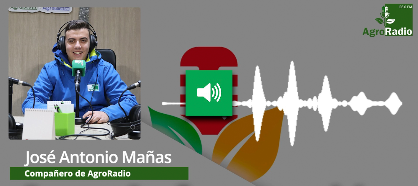 jose antonio mañas MINIATURA ALTAVOZ