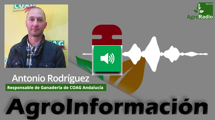 Antonio-Rodriguez-responsable-de-Ganaderia-de-COAG-Andalucia-2 (1)