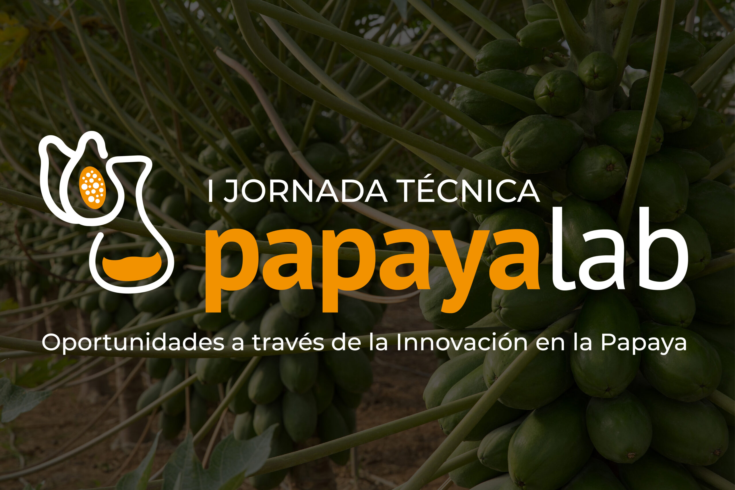 papayalab