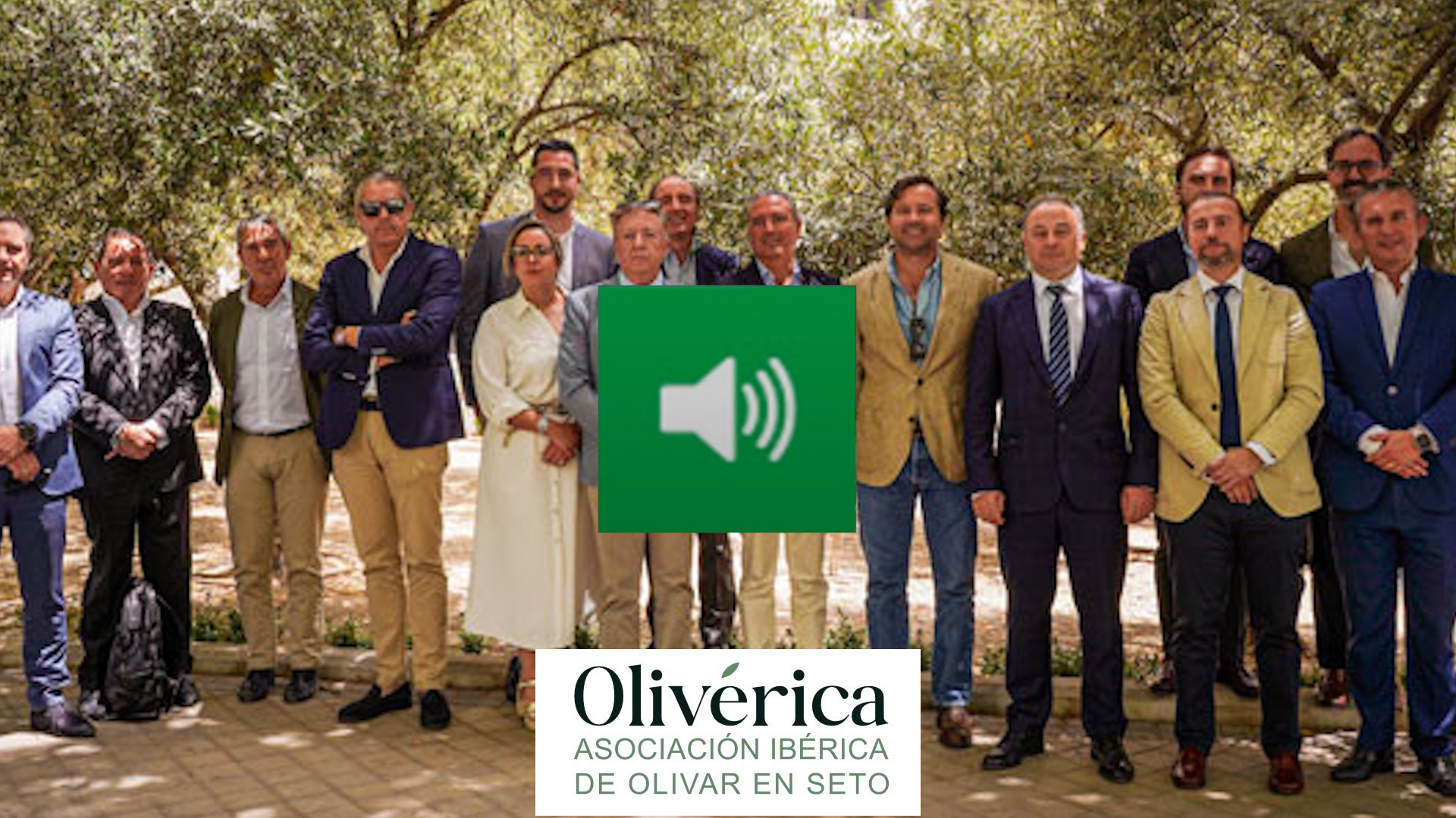 PORTADA OLIVERICA