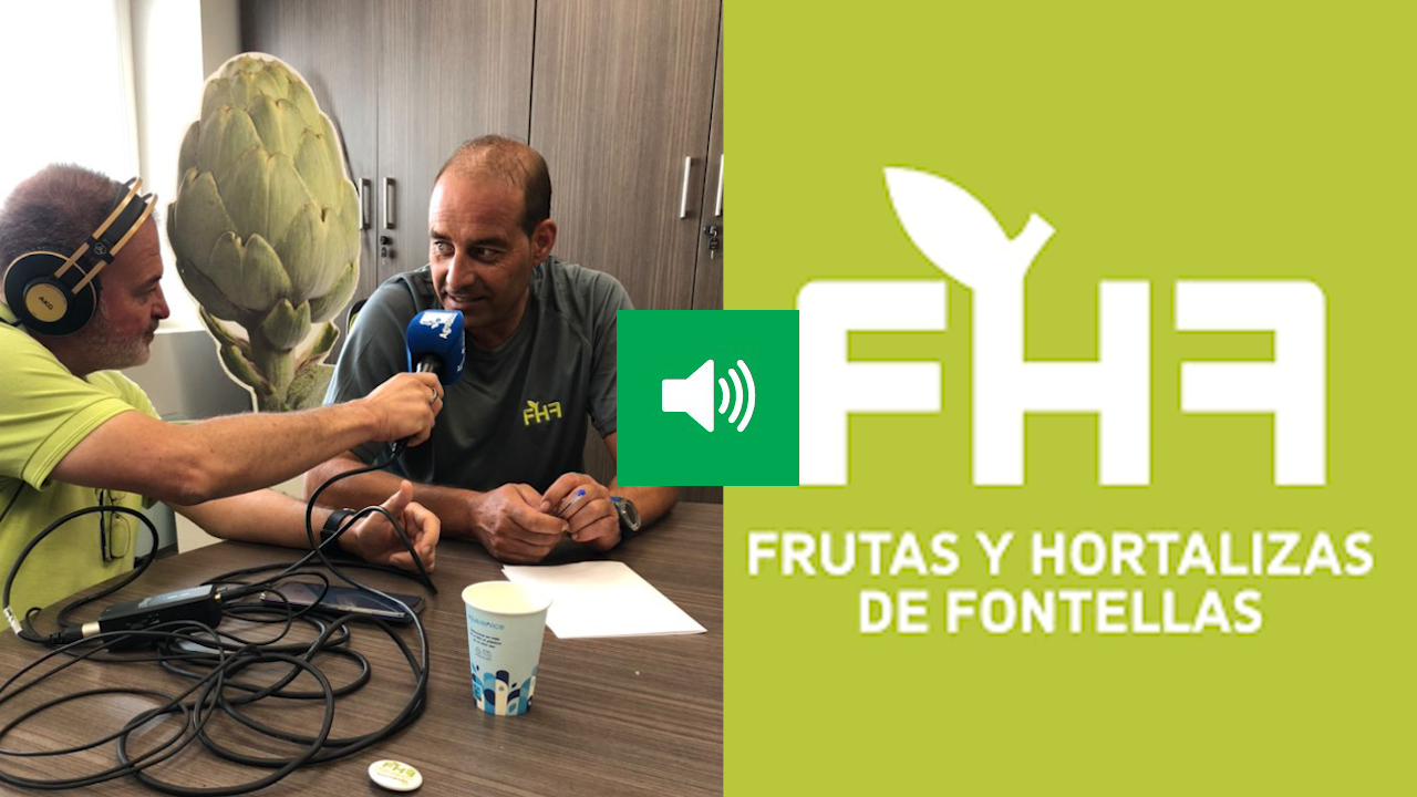 portada fhfontellas