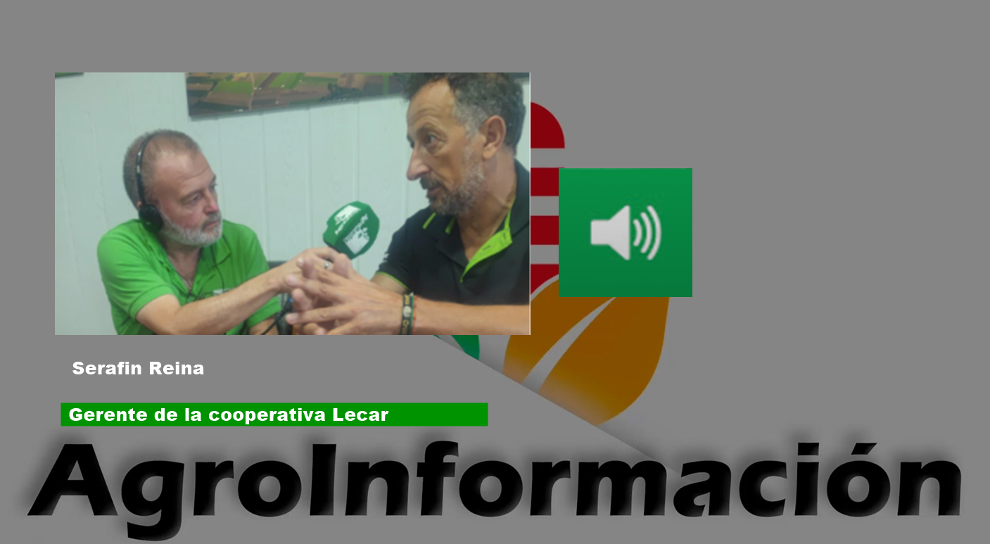 PORTADA SERAFIN LECAR