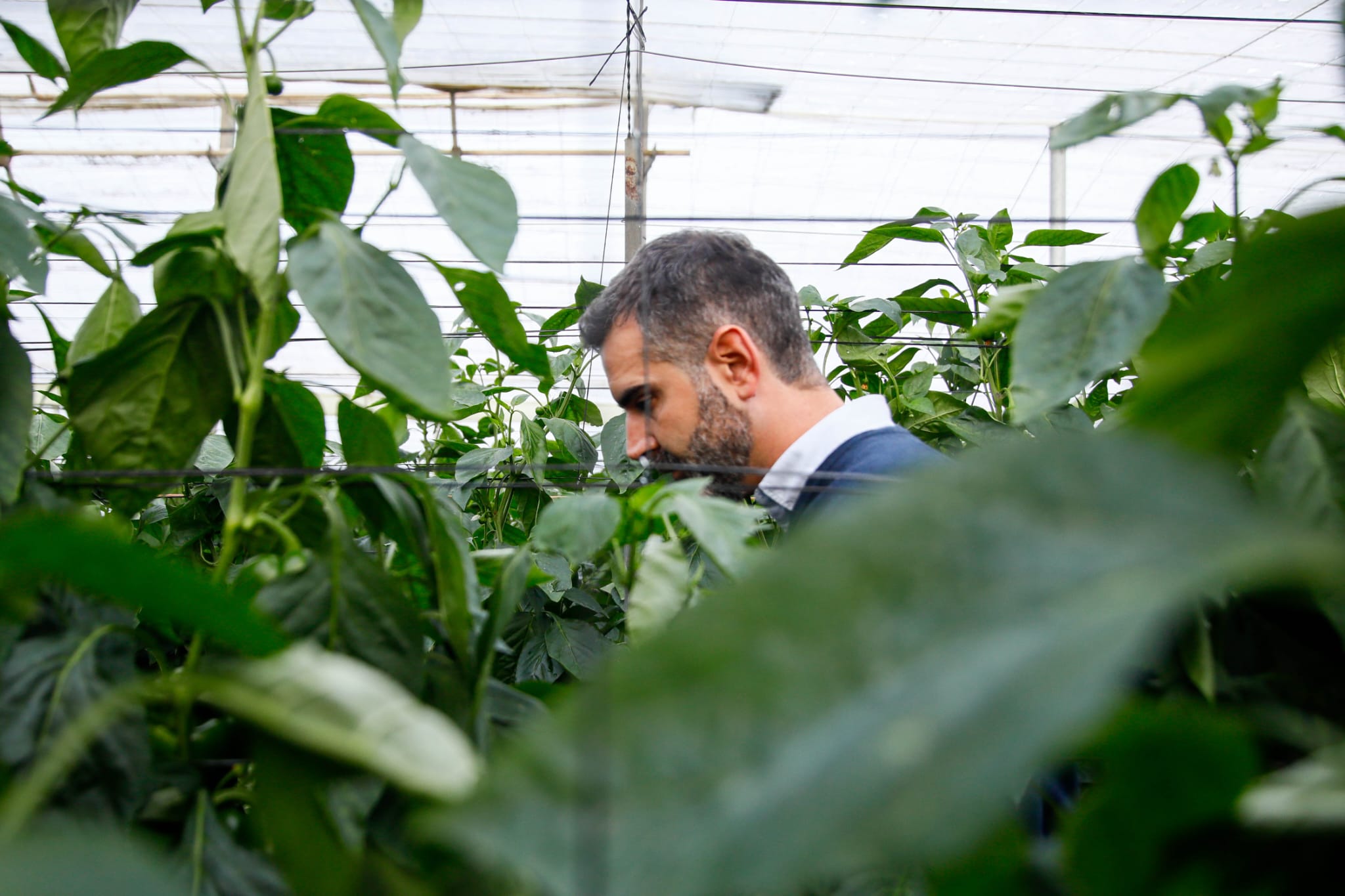 El consejero de Agricultura en un huerto