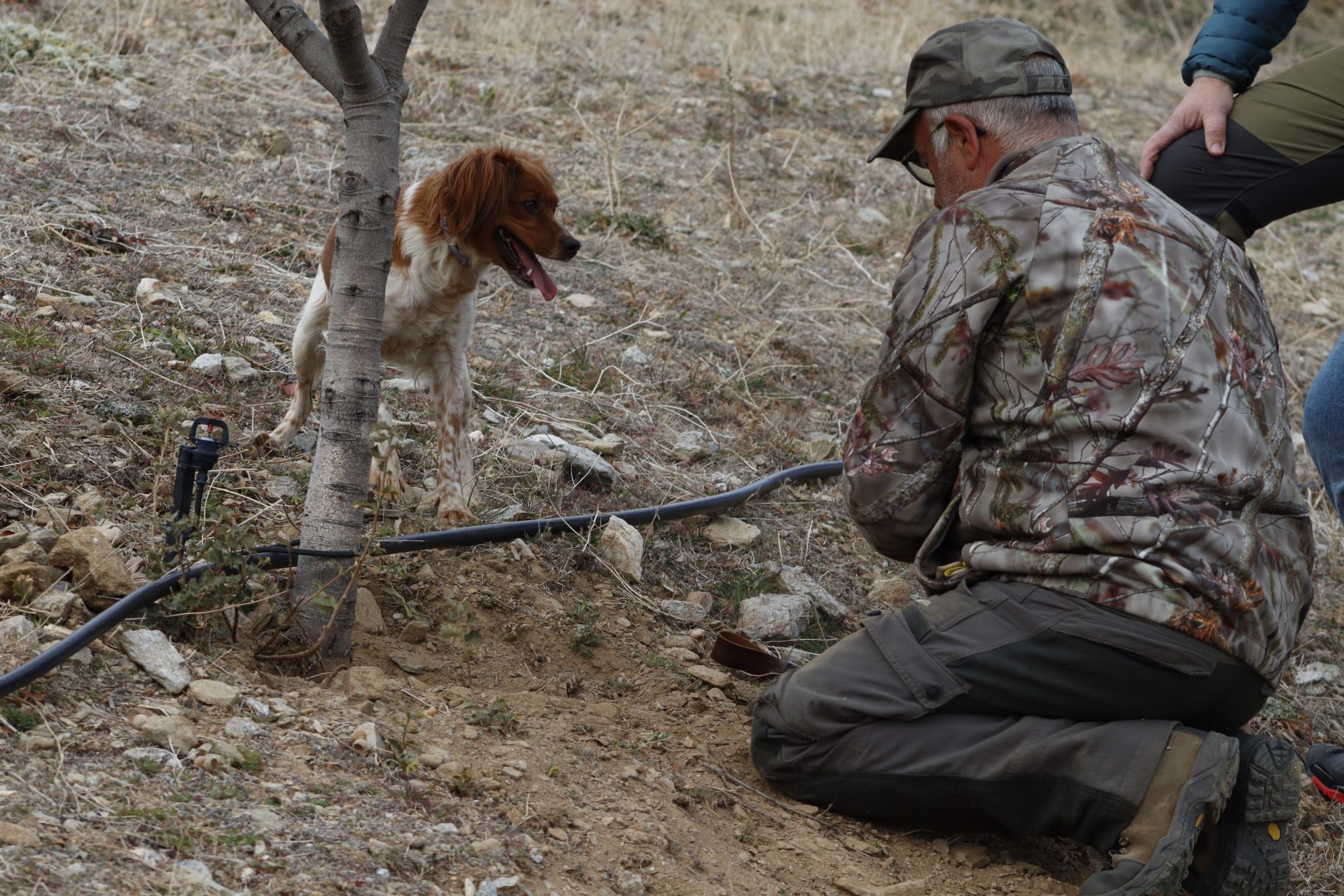 WhatsApp Image 2025-12-01 at 19.03.06