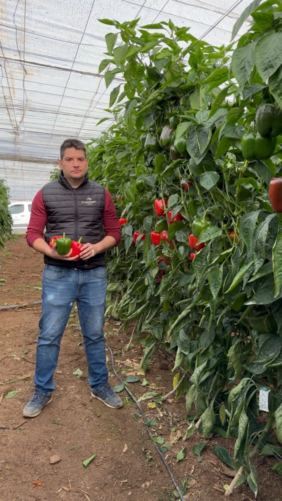 WhatsApp Image 2025-12-03 at 17.54.19