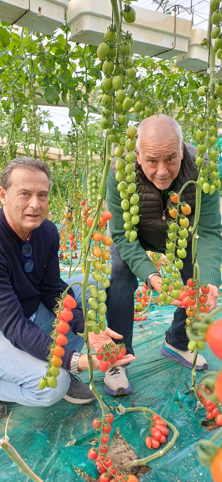 WhatsApp Image 2025-12-11 at 12.30.12