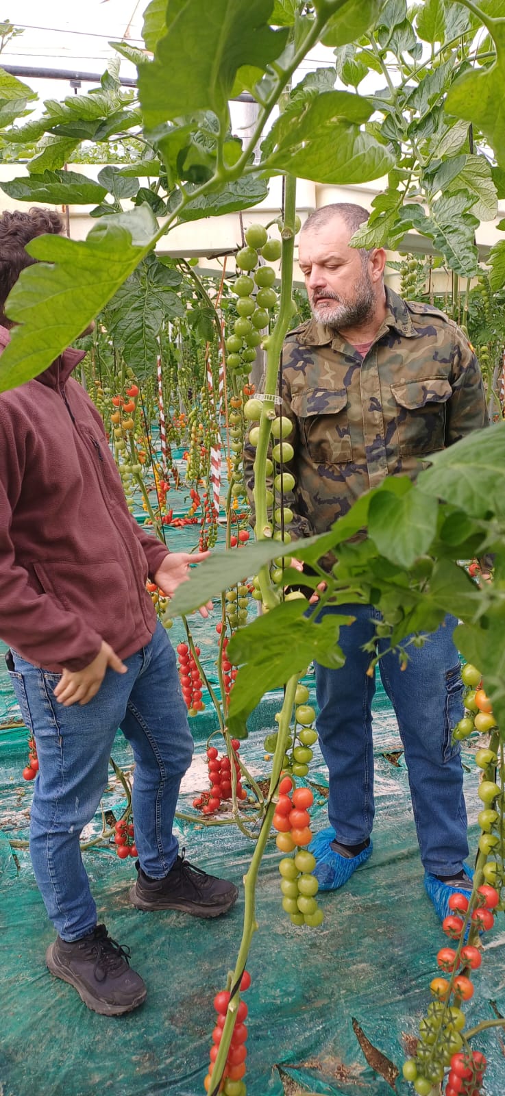 WhatsApp Image 2025-12-11 at 20.13.46