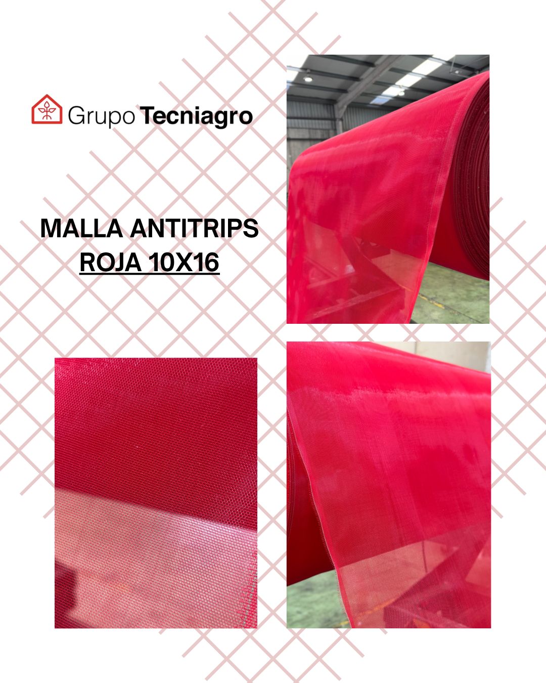 WhatsApp Image 2025-12-22 at 16.17.24