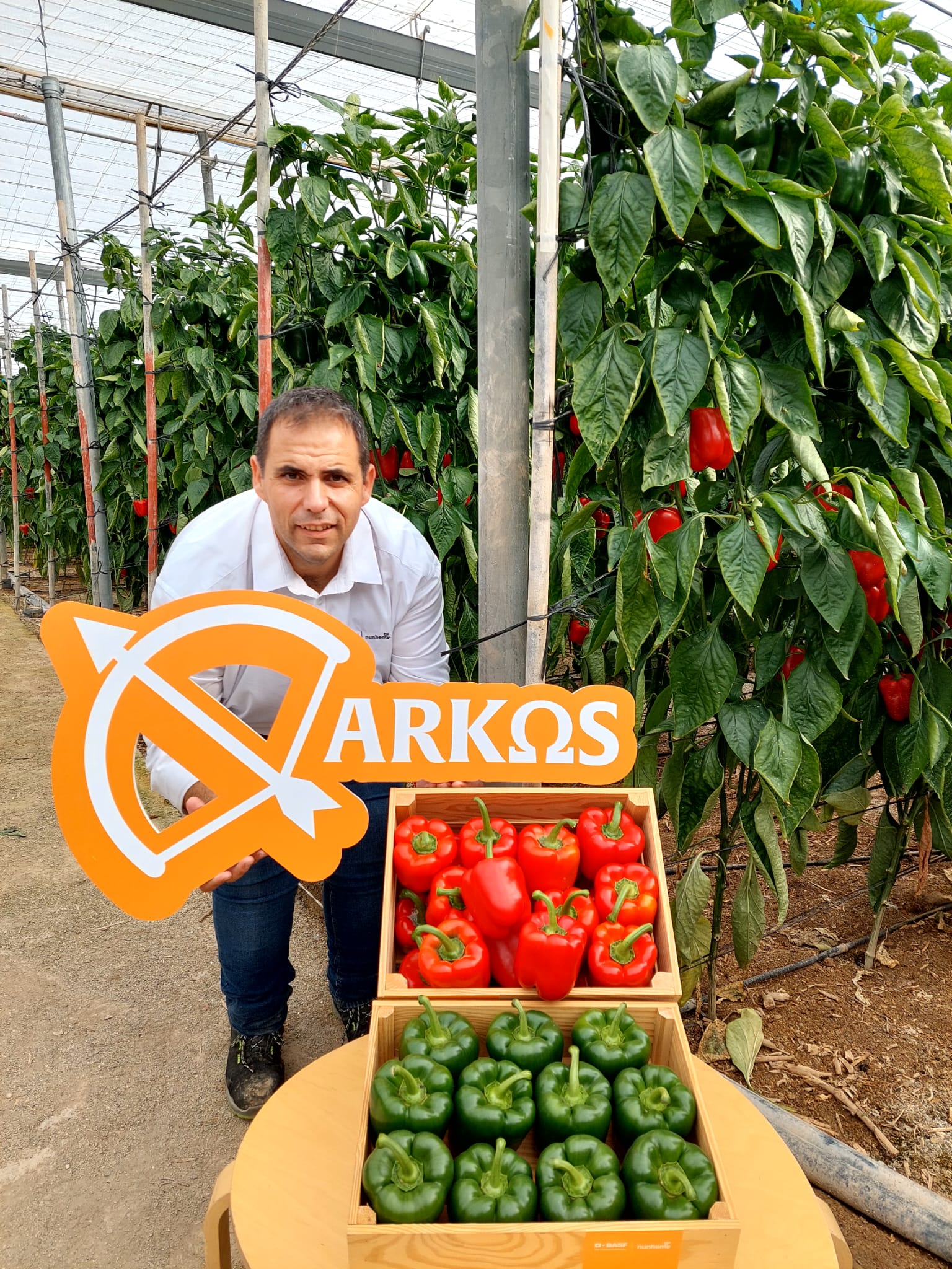 WhatsApp Image 2026-01-13 at 15.01.56