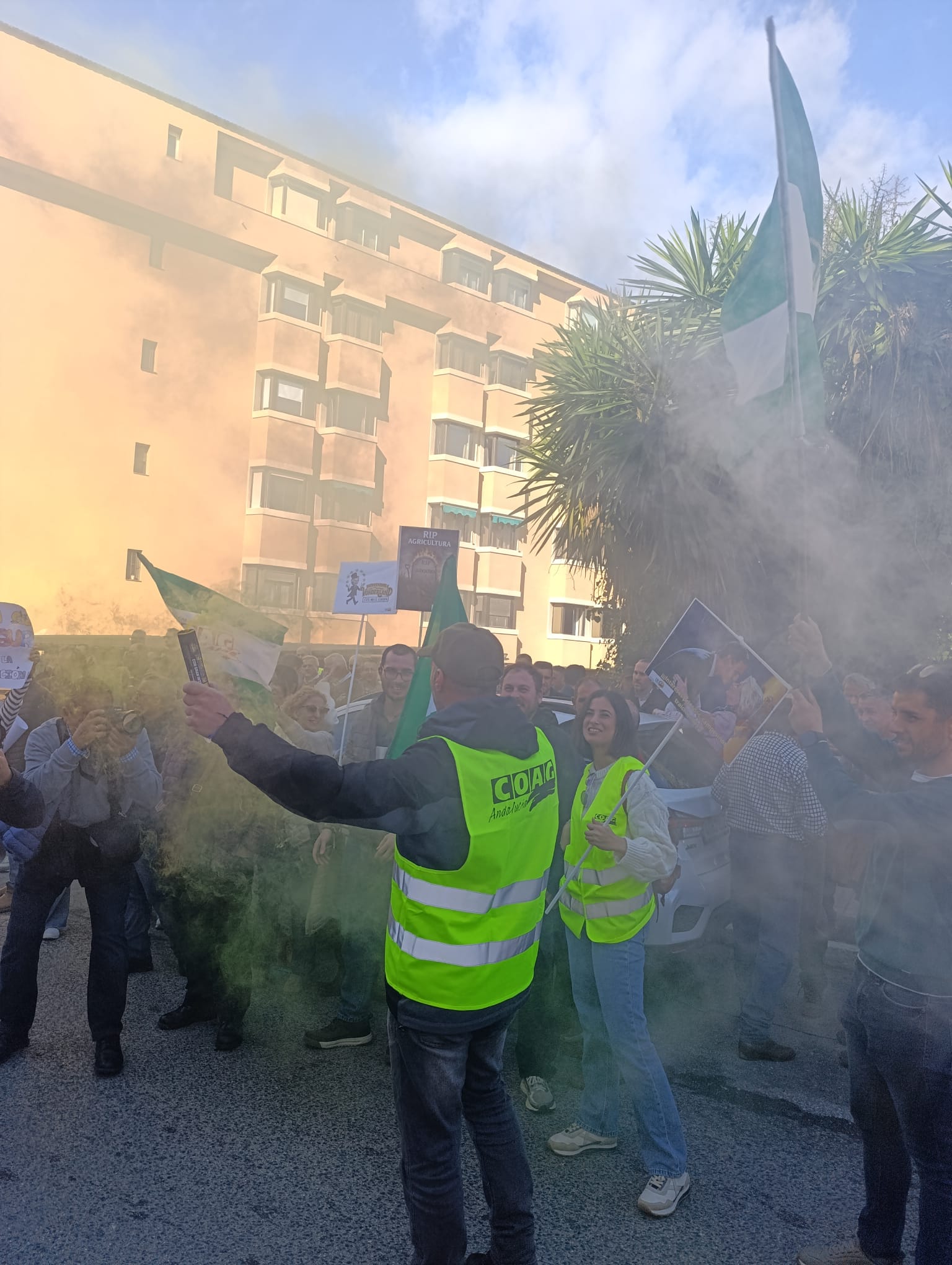 WhatsApp Image 2026-01-29 at 14.22.59