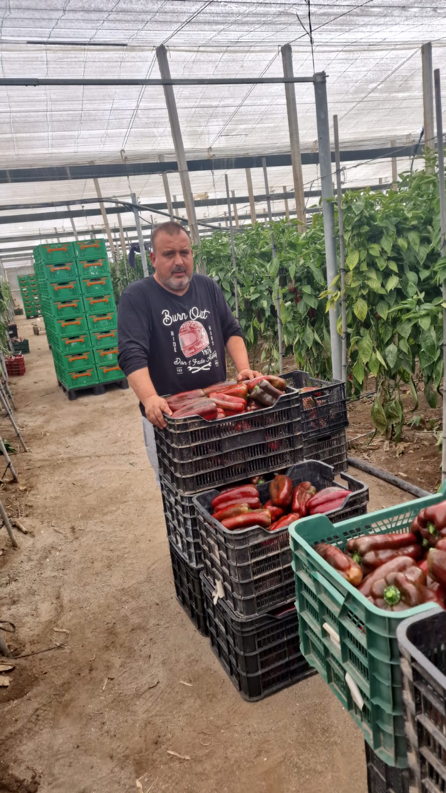 WhatsApp Image 2026-02-24 at 11.43.30