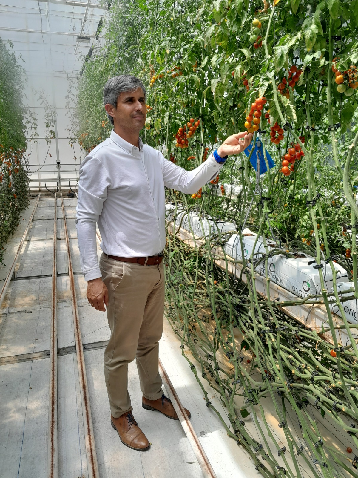 WhatsApp Image 2026-04-17 at 12.55.21